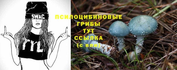 spice Абинск