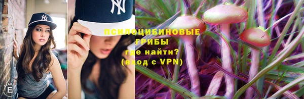 apvp Абаза